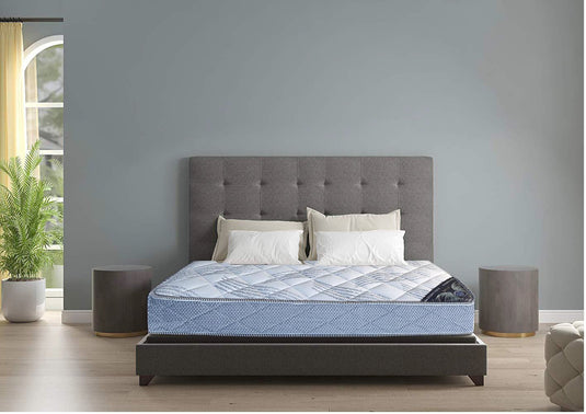 Find your sleep companion