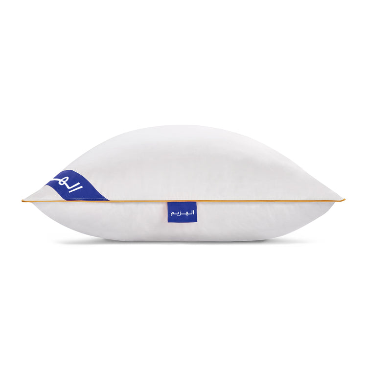 Alter Goose Down Pillow