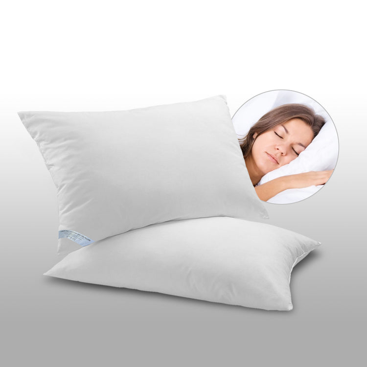 iSleep Pillows