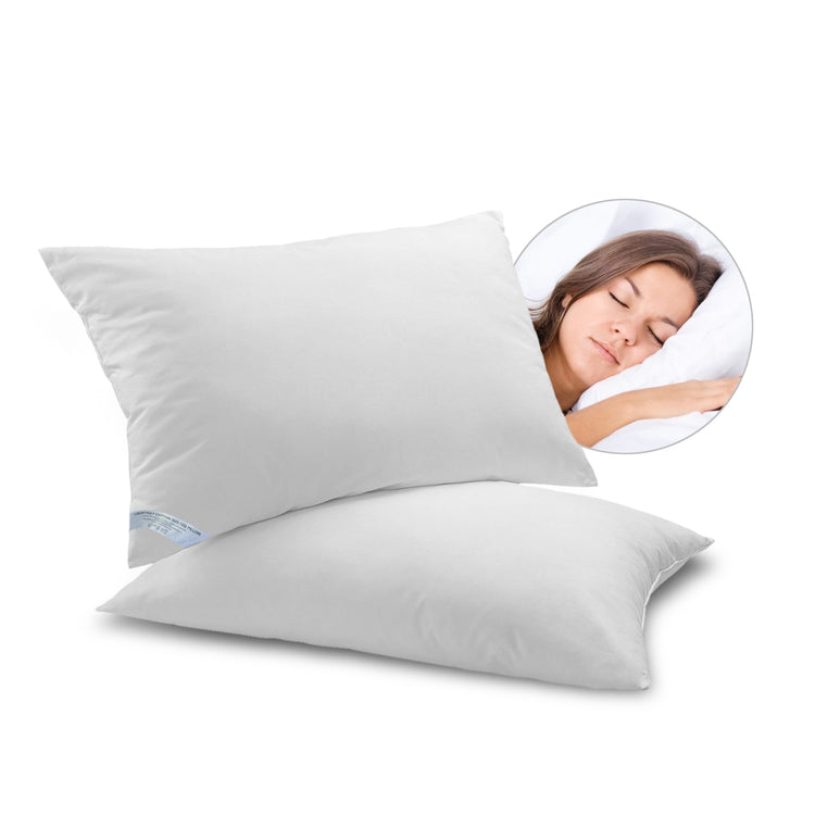 iSleep Pillows